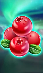 Winterberries